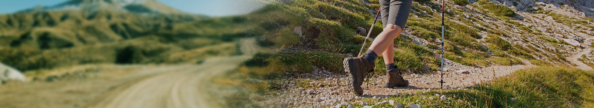 Жаңалықтар